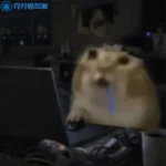 用户76852523的头像-VAM®克苏恩资源社区
