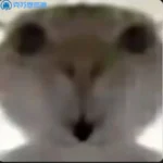 盾墨的头像-VAM®克苏恩资源社区