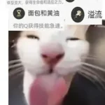 ㅤㅤ的头像-VAM®克苏恩资源社区